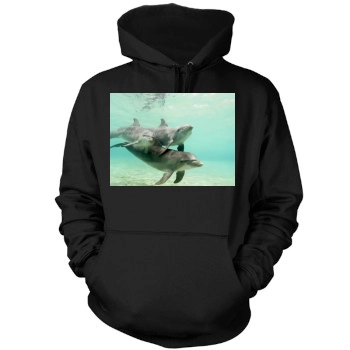 Underwater World Mens Pullover Hoodie Sweatshirt