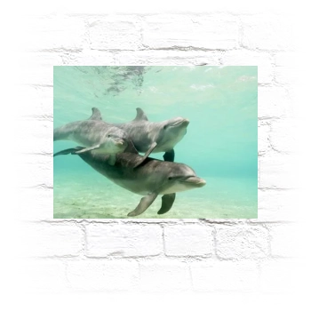 Underwater World Metal Wall Art