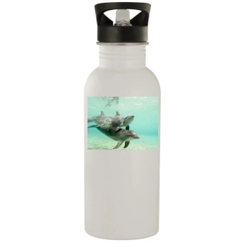 Underwater World Stainless Steel Water Bottle