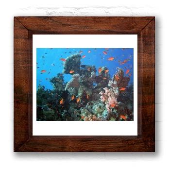 Underwater World 6x6