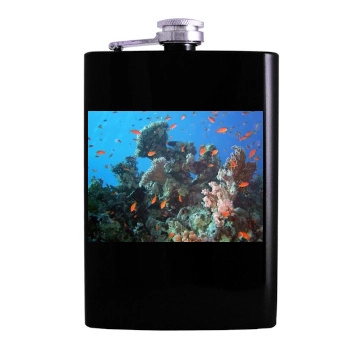 Underwater World Hip Flask