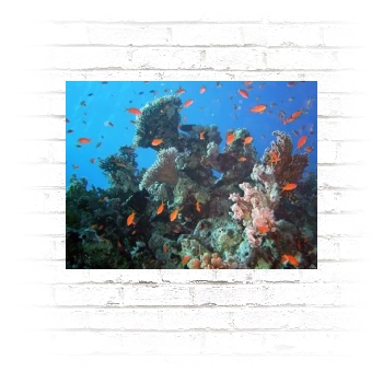 Underwater World Poster