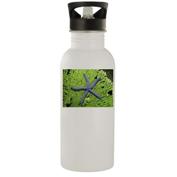 Underwater World Stainless Steel Water Bottle