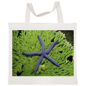 Underwater World Tote