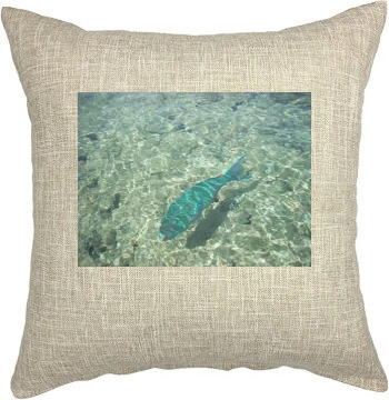 Underwater World Pillow