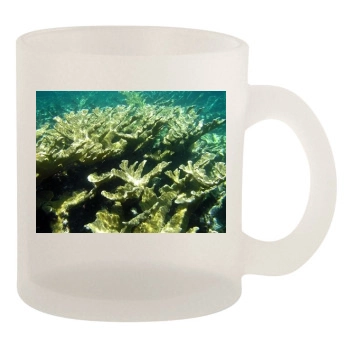 Underwater World 10oz Frosted Mug