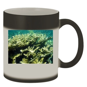 Underwater World Color Changing Mug