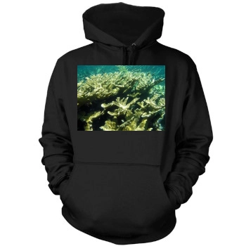 Underwater World Mens Pullover Hoodie Sweatshirt