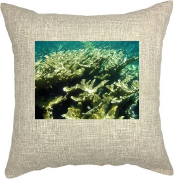 Underwater World Pillow