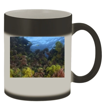 Underwater World Color Changing Mug