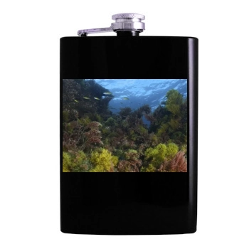 Underwater World Hip Flask