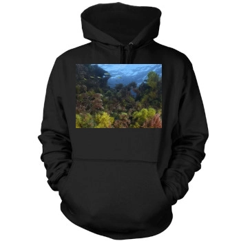 Underwater World Mens Pullover Hoodie Sweatshirt