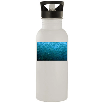 Underwater World Stainless Steel Water Bottle