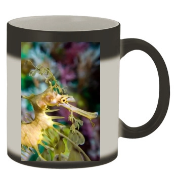 Underwater World Color Changing Mug