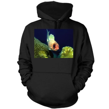 Underwater World Mens Pullover Hoodie Sweatshirt