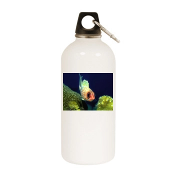 Underwater World White Water Bottle With Carabiner