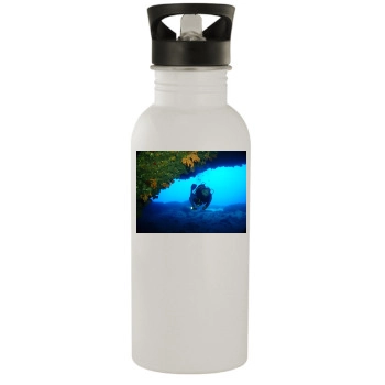 Underwater World Stainless Steel Water Bottle