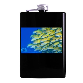 Underwater World Hip Flask