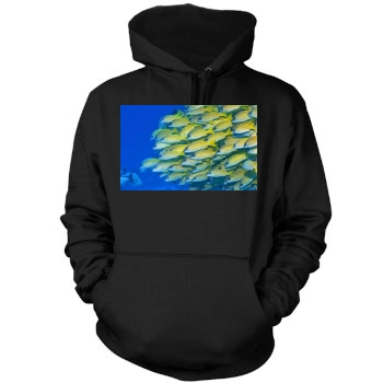 Underwater World Mens Pullover Hoodie Sweatshirt