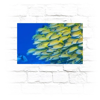 Underwater World Metal Wall Art