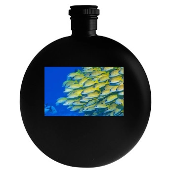 Underwater World Round Flask