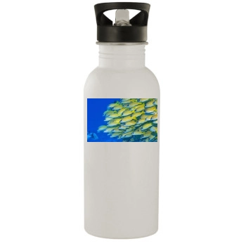 Underwater World Stainless Steel Water Bottle