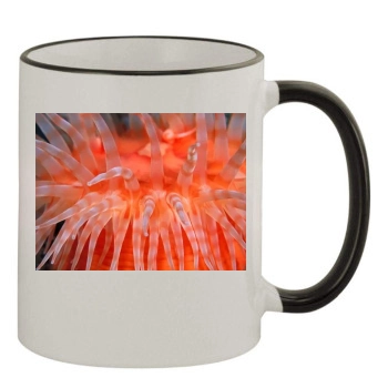 Underwater World 11oz Colored Rim & Handle Mug