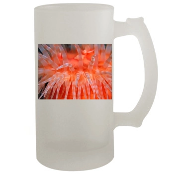 Underwater World 16oz Frosted Beer Stein