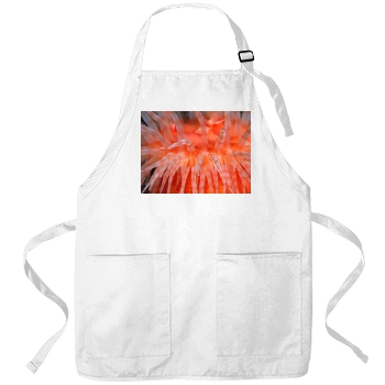 Underwater World Apron