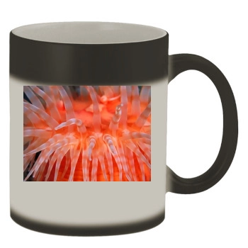 Underwater World Color Changing Mug