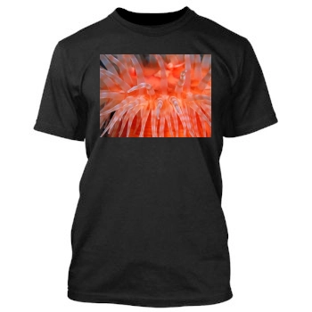 Underwater World Men's TShirt