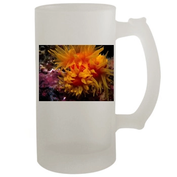 Underwater World 16oz Frosted Beer Stein