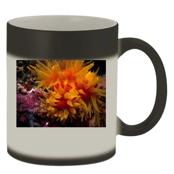 Underwater World Color Changing Mug