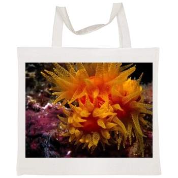 Underwater World Tote