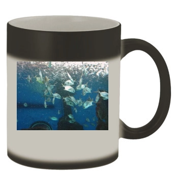 Underwater World Color Changing Mug