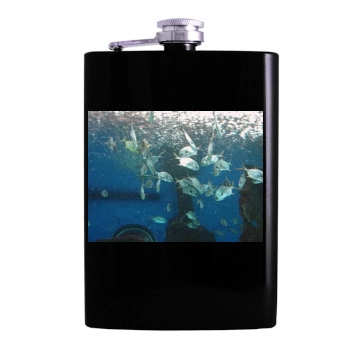 Underwater World Hip Flask