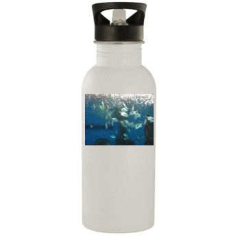 Underwater World Stainless Steel Water Bottle