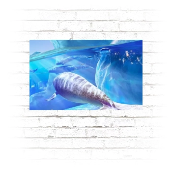 Underwater World Poster