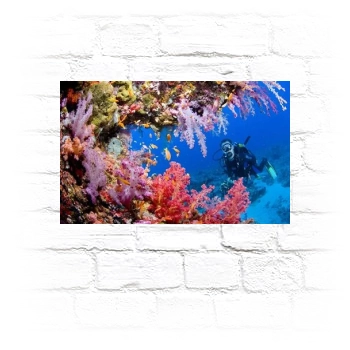 Underwater World Metal Wall Art