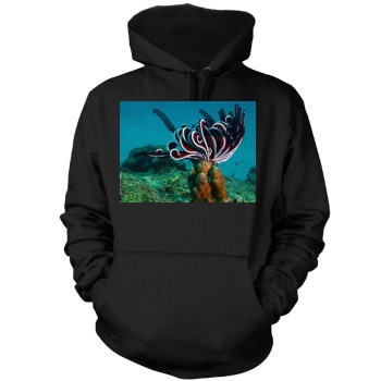 Underwater World Mens Pullover Hoodie Sweatshirt