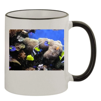 Underwater World 11oz Colored Rim & Handle Mug