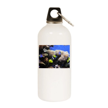 Underwater World White Water Bottle With Carabiner