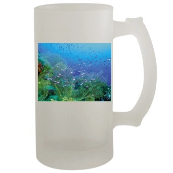 Underwater World 16oz Frosted Beer Stein