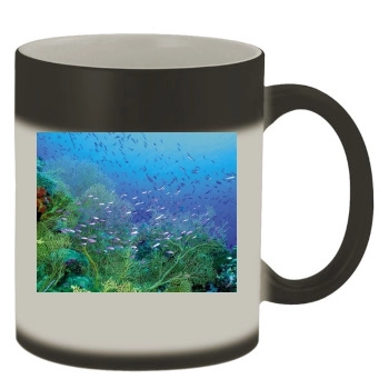 Underwater World Color Changing Mug