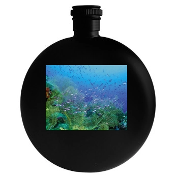 Underwater World Round Flask