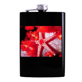 Underwater World Hip Flask