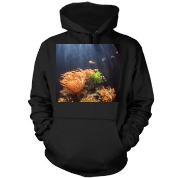 Underwater World Mens Pullover Hoodie Sweatshirt