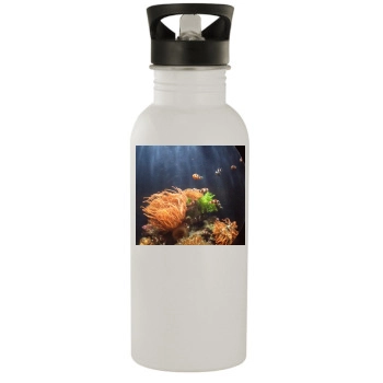 Underwater World Stainless Steel Water Bottle