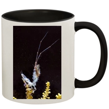 Underwater World 11oz Colored Inner & Handle Mug