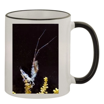 Underwater World 11oz Colored Rim & Handle Mug